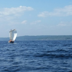 Александр Чижов, Санкт-Петербург