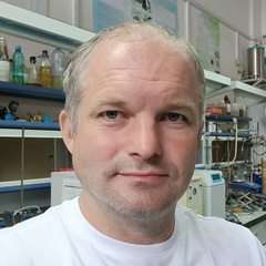 Сергей Приходько, 40 лет, Новосибирск