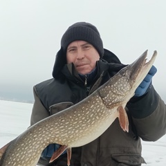 Александр Невоструев, 42 года, Игра
