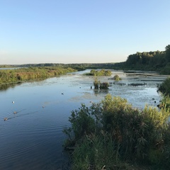 Дарья Архипова, Мытищи