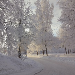 Александр Кайсаров, Санкт-Петербург