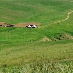 Куралай Сауран, Астана