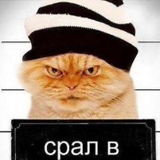 Андр Brrr, Ширван