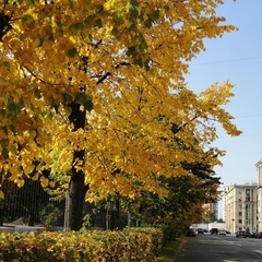 Makka Sh, 32 года, Санкт-Петербург