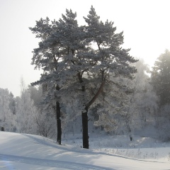 Ирина Елагина, Москва