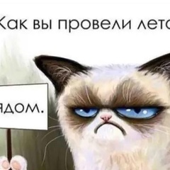Alex Tim, 34 года, Санкт-Петербург