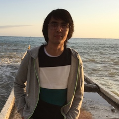 Искандер Идриси, Тараз