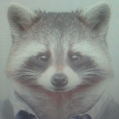 Wild Racoon, Киев