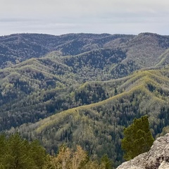 Ольга Евграфова, Новосибирск