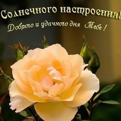 Olga Borodina, 45 лет, Рязань