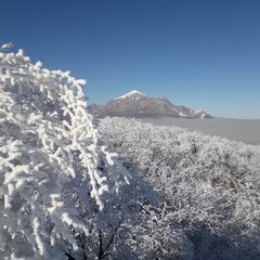 Олег Шафиков, Пятигорск