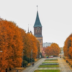 Вован Георгиевич, Калининград