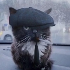 Давид Власов, Новосибирск