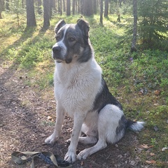 Кристиночка Ткаченочка, Луга