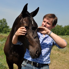 Григорий Никуленко, Омск