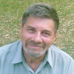 Владимир Аграновский, 81 год, Воронеж