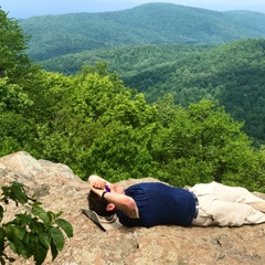 David Traub, 45 лет, Falls Church