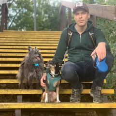 Алексей Линевич, 37 лет, Москва