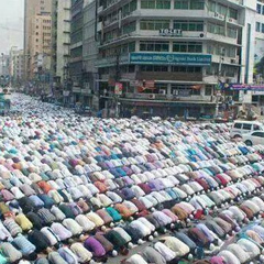 Tayeb Allout, 35 лет, Alger