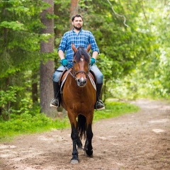 Александр Домбковский