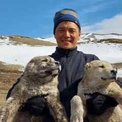 Алим Тумат, Кызыл