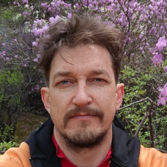 Артем Богомолов, 39 лет, Турочак