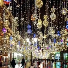 Любовь Бородина, Санкт-Петербург