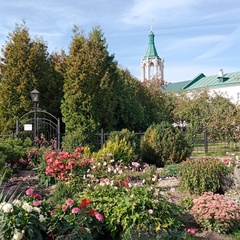Светлана Сергеевна, Москва