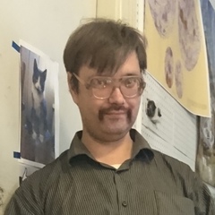 Дмитрий Барсуков, 45 лет, Санкт-Петербург