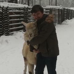Али Беляев, 45 лет, Москва