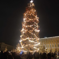 Ольга Селезенева, Санкт-Петербург