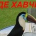 Дмитрий Брянский, 36 лет, Санкт-Петербург