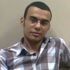 Mohammed Abd-EL-Razek, 36 лет, Cairo