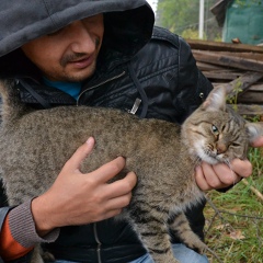 Назар Ворона, Киев