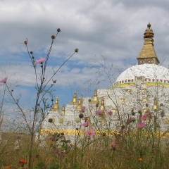 Саяна Шарбунаева, Кижинга