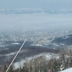 Сергей Лисенкин, Новосибирск