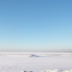 Виолета Руснак, Санкт-Петербург