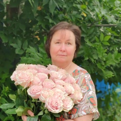 Елена Петрова, 53 года, Новосокольники