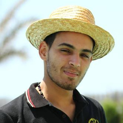 Mohamed Mahfoz, 35 лет, Alexandria