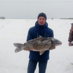 Анатолий Коробейников, 40 лет, Козьмодемьянск