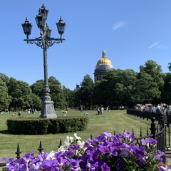 Саида Саида, Санкт-Петербург